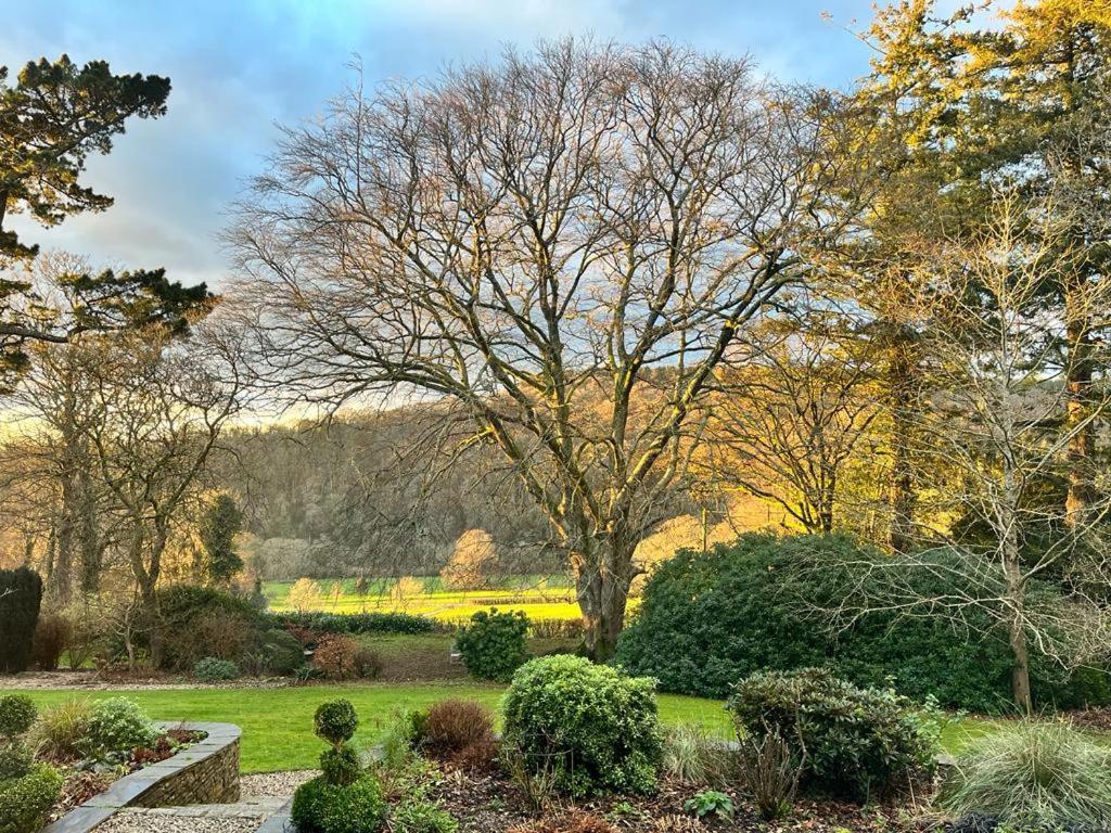 Maristow Cottages, Overlook Tamar Valley Dartmoor Plymouth Luaran gambar