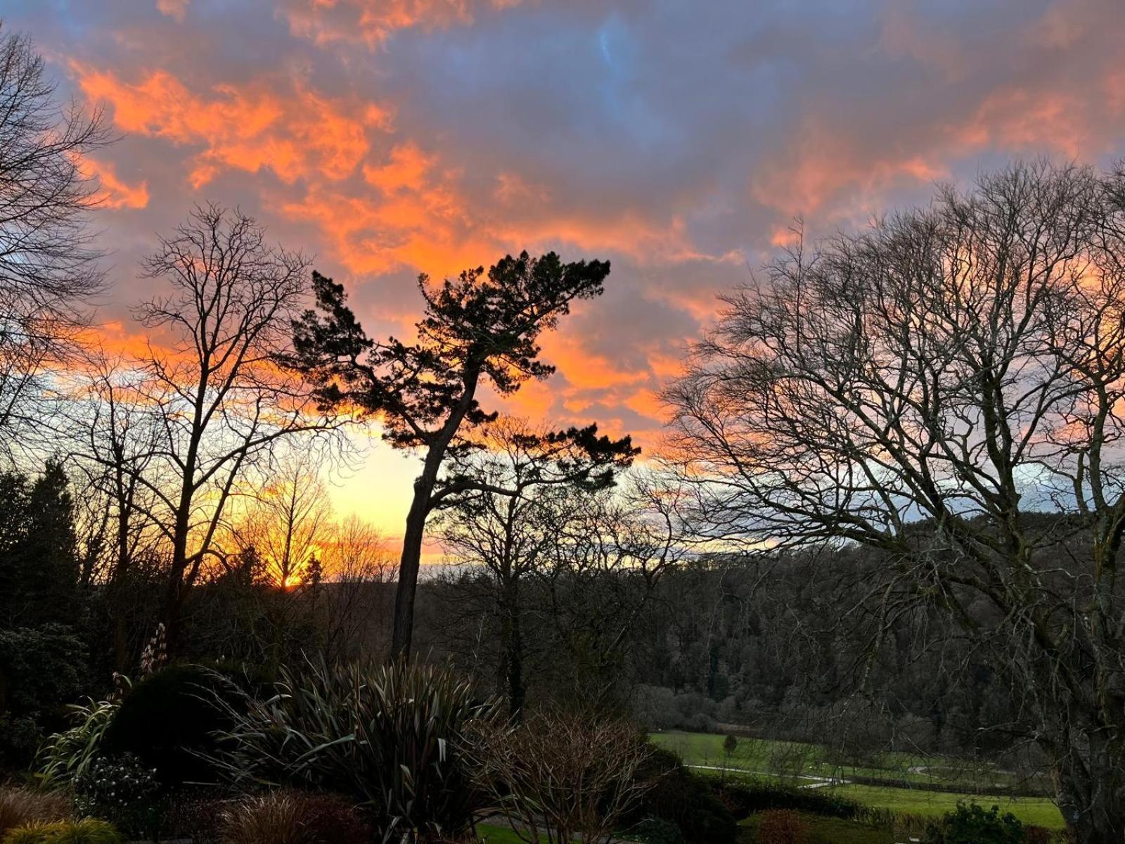 Maristow Cottages, Overlook Tamar Valley Dartmoor Plymouth Luaran gambar